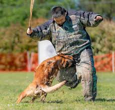 Profile for Mahogany Gamble