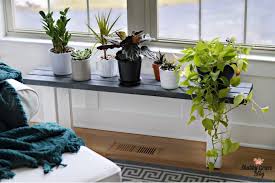 Build A Narrow Plant Stand To Keep Your Green Friends In Their Favorite Sunbeams Longer Diy Plant Stand Plant Stand Diy Plants Plant stands are a good solution to keep small pets, such as guinea pigs, away from your plants.