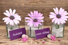 Margerite bornholm (erst wieder 2021 in blüte). Auszeit Vom Alltag Zarte Bluten Der Bornholm Margerite Auf Fototapete Fototapeten Massage Kur Auszeit Myloview De