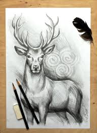 Original Deer Art Stag Pencil Drawing Graphite Home Decor Illustration Animal Art Gift Wall Decor Animal Drawings Sketches Animal Drawings Animal Art