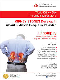 World kidney day 2017 dr. World Kidney Day 2017