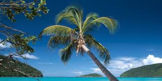View our guide on everything from where to stay, what to do, rv campgrounds and more. Virgin Islands National Park National Geographic