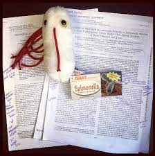 Our Salmonella Plush Will Liven Up Any Research Paper Instakrist Giantmicrobes Salmonella Research Science Giant Microbes Geek Gifts Learning Tools
