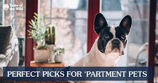 Our Blog Taste Of The Wild Pet Food