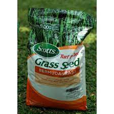 Maybe you would like to learn more about one of these? Jual Biji Rumput Lapangan Sepak Bola 100 Gr Hp 081904983985