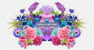 Desktop Floral Design Aesthetics Drawing Summer Tropical Plants Purple Flower Arranging Aesthetics Png Pngwing This another entry i did for an aesthetic art contest!