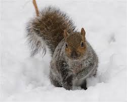 file_3324x2660_032494