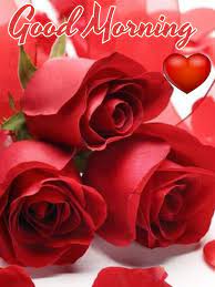 Pin By Josefine Fun On Good Morning Good Morning Roses Good Morning Rose Images Good Morning Flowers
