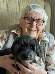 Francis has returned to the Nor' Loch. Dog-tooth violets in Princes Street  Gardens.