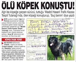 Olu Kopek Konustu Pufterem Komik Komik Seyler Komik Resimler