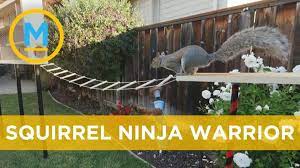 Former Nasa Engineer Mark Rober Makes Incredible Obstacle Course For Sq The Incredibles Nasa Engineer Mark Rober