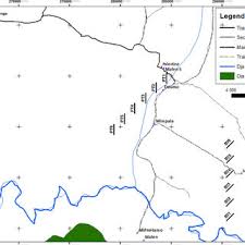 Image result for Englerodendron mengei