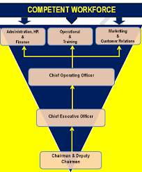 Organization Structure Vescape Security Sdn Bhd