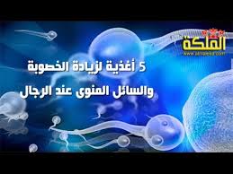 تأثيرا كبيرا فعلاج ضعف المبايض، ÙÙ‚ÙŠØ± ØªÙ„Ù…ÙŠØ¹ Ø²Ø®Ø±ÙØ© Ø¯ÙˆØ§Ø¡ Ù„Ø²ÙŠØ§Ø¯Ø© Ø§Ù„Ø®ØµÙˆØ¨Ø© Ø¹Ù†Ø¯ Ø§Ù„Ø±Ø¬Ø§Ù„ Filipinofusiondesserts Com