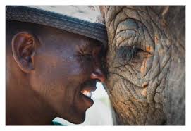 Sheldrick Wildlife Trust added...