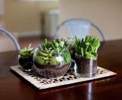 Diy Craft Idea How To Make A Mini Terrarium Mini Terrariums Idees Terrariums Succulentes
