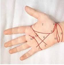 как по руке узнать сколько будет детей у женщины Chto Mozhno Uznat O Zdorove Po Znakam Na Ladoni Raspoznat Bolezn Prosto Vzglyanuv Na Ladon Cheloveka Hiromantiya Utverzhdaet Chto E Hiromantiya Zdorove Znaki