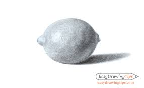 2) from the middle of the rectangle. How To Draw A Realistic Lemon Step By Step Easydrawingtips