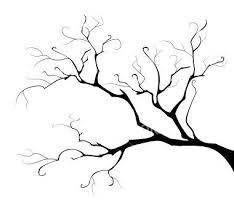 Branche Dessin Arbre Pochoir Arbre Silhouette Arbre