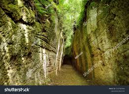 136 Vie Cave Images, Stock Photos, 3D objects, & Vectors | Shutterstock