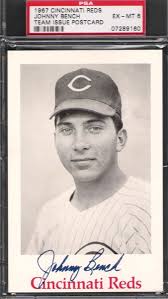 Baseball, Johnny Bench Master Set Published Set: JB #5 Master Set