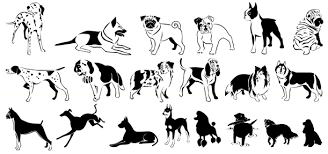 Image result for WOOF!