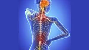 Enfermedad progresiva del snc afecta el. Ela Que Es Causas Sintomas Y Tratamiento