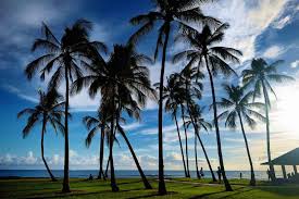 Earn 25 points, on us. 50 Fun Facts About Hawaii Free Hawaiian Trivia Printable Hawaii Travel With Kids
