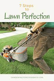 Dare To Dream Of Having The Perfect Lawn It Isn T As Difficult As You Might Think You Just Need To Know Proper Lawn Care Pract Lawn Care Lawn Lawn Care Humor