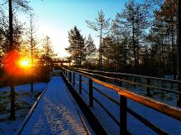 W samym centrum nowego targu już od lat dwudziestych xx w. Kaskada Picture Of Bor Na Czerwonem Nowy Targ Tripadvisor