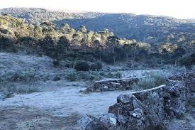 Discover the best of urupema so you can plan your trip right. Projeto De Lei Quer Transformar Urupema Na Capital Nacional Do Frio Santa Catarina G1