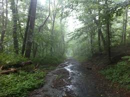 Do not drive through flooded roads. Flash Flood Warning Issued For Philadelphia Roxborough Pa Patch