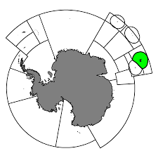 Image result for Dissotis caloneura