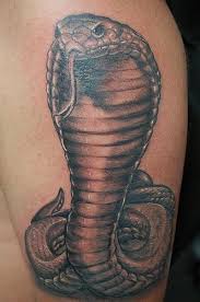 Cobra is one of the snakes, and thus generally cobra tattoo has the same meanings as snake tattoo. Cobra Tattoo Designs Cobra Tattoo Tattoos For Guys King Cobra Tattoo
