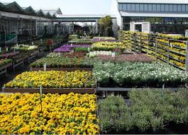 Sunflower Garten Center In Node Field Entry Cust Address Postal Co