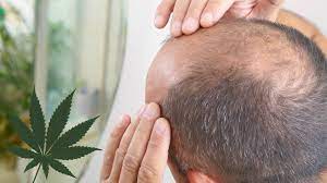 Marijuana benefits most definitely include positive effects on mood, depression, insomnia and stress. Odrecfvzhl4o1m