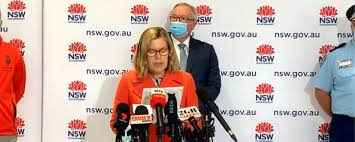 The ministry's vision is for an equitable and sustainable health system that promotes . Nsw Health Minister And Top Doctor To Give Evidence At Parliamentary Inquiry Today Headlines Hope 103 2