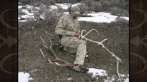 how to score an elk using the boone crockett system mossback