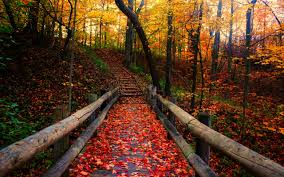 The great collection of autumn scenes wallpaper landscapes for desktop, laptop and mobiles. Autumn Scene Wallpapers Wallpaper Cave