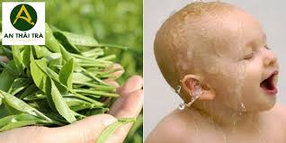 Cách tắm lá trà xanh cho bé