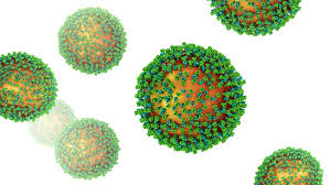 It passes easily through direct or norovirus can also be a source of food poisoning, because you can get it from eating contaminated. Norovirus What You Should Know Md 2 0 Concierge Medicine Jupiter Fl