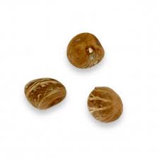 Image result for Pachira glabra