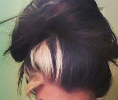 Black And White Hair Color Narcissa Trendy Hair White Streak Haircolor 32 Ideas Brown Blonde Hair Blonde Streaks Blonde Hair Color