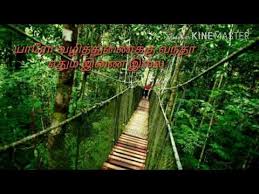As i haven't learned music, it may not contain all the elements of the song. Pithamagan Elangathu Veesudhe Whatsapp Status Free Mp4 Video Download Jattmate Com