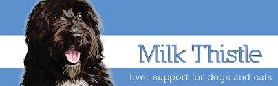 Milk thistle supports liver function and health. Amazon Com Herbsmith Milk Thistle Herbal Supplement For Dogs And Cats 75g Powder Pet Herbal Supplements Pet Supplies
