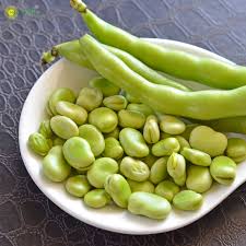 Fresh Fava Beans Are Available Now Through Early Summer Unlike The Dried Fava Beans That Are Available Year R Eating Raw Healthy Veggies Middle Eastern Dishes