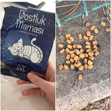 Dogru Subda Miyim Bilmiyorum Ama Su Dostluk Mamalari 2 Tl Bile Degil Sokaktaki Cocuklar Icin Uygun Kopekler Icin Olani Da Var Soylemek Istedim Besledigim Kediler Onuncu Paketlerini Falan Bitirdiler Sanirim Ve Sekli