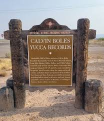 Calvin Boles Yucca Records Historical Marker