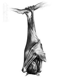 Upside Down By Kerli T Artwanted Com Letuchaya Mysh Tatuirovki Kartinki Cherepa Akrilovaya Zhivopis