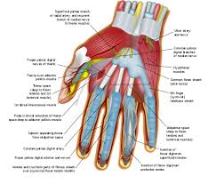 Image result for Hand Infection